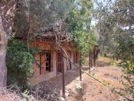Muğla Köyceğiz Çandır’da Göl Manzaralı Köy Evi Ve Zeytinlik Arazi Satılık