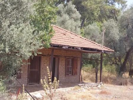 Muğla Köyceğiz Çandır’da Göl Manzaralı Köy Evi Ve Zeytinlik Arazi Satılık