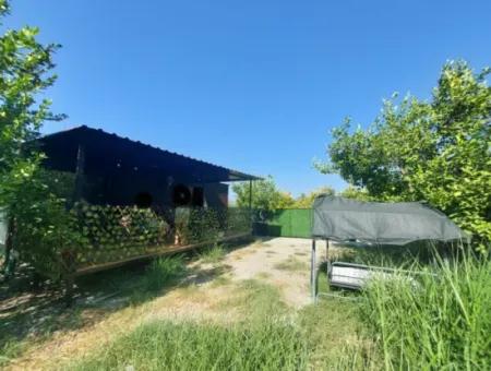 Ortaca Okçular’da 21 M² Eşyalı 1+1 Konteyner Ev – Yıllık Kiralık