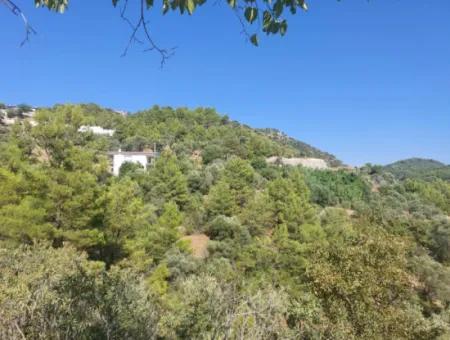 Muğla Ortaca Gökbel’de Satılık Müstakil Tapulu  238 M2 Hobi Bahçesi