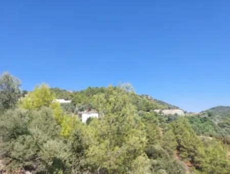 Muğla Ortaca Gökbel’de Satılık Müstakil Tapulu  238 M2 Hobi Bahçesi