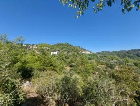 Muğla Ortaca Gökbel’de Satılık Müstakil Tapulu  238 M2 Hobi Bahçesi