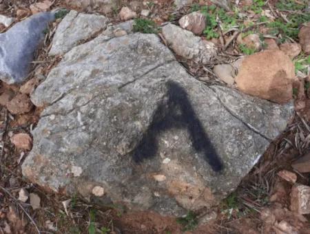 Muğla Ortaca Dalyan Gökbel De 3 100 M2 Hazine Arazisi Zilliyet Hakkı Devir Edilecek