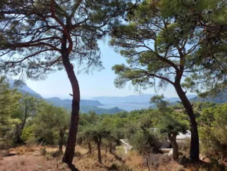 Muğla Ortaca Gökbel’de Göl Ve Deniz Manzaralı 1.361 M² Yatırımlık Arazi Satılık