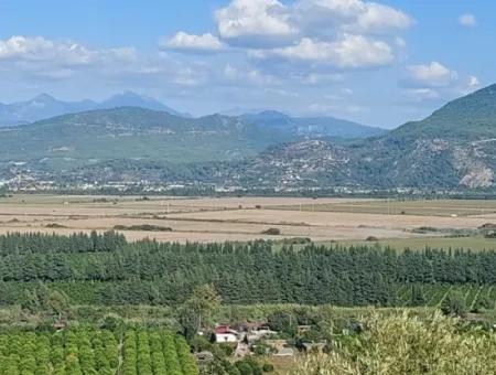 Ortaca Fevziyede Deniz Ve Doğa Manzaralı  Kelepir Müstakil Zeytinlik Satılık