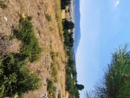 Fethiye, Nif Te, 2 100 M2, Satılık, Kelepir Arazi