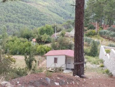 Muğla Köyceğiz Ağla - Yaylada 535 M2 Arsa Ve Tiny House Ev Satılık