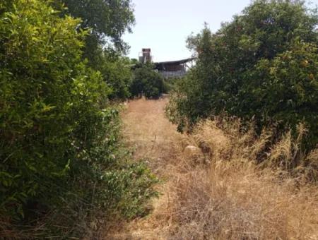 Ortaca Çaylı Da Merkezi Konum 430 M2  Arsa Satılık