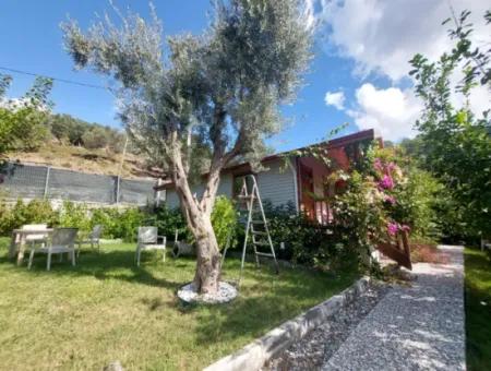 Muğla Ortaca Gökbel  Doga İçinde  Yüzme Havuzlu 1+1 Ahşap Eşyalı Bungalov Kiralık