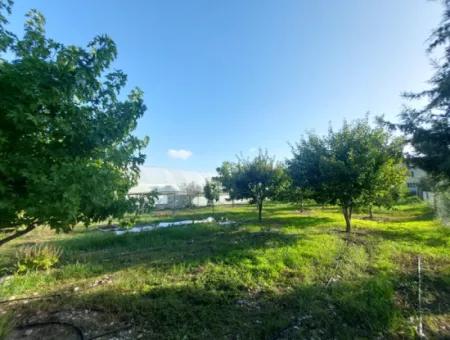 Ortaca Ekşiliyurt Ta 1 330 M2 Müstakil Arsada 130 M2, 2+1  Köy Evi Satılık Veya Kısmen Daire İle Takas