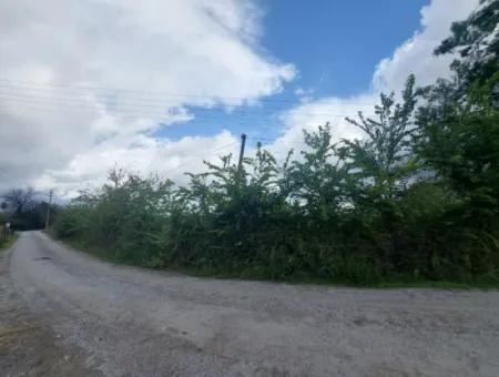 Mugla Dalyan Da 150 M2 İnşaat Hakkı Olan 5.000 M2 Arazi Satılık