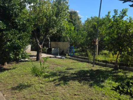 Ortaca Akıncı Sarıgerme Yoluna Sıfır 902 M2 Arsada 2+1, 70 M2 Köy Evi Satılık