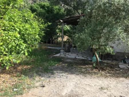 Muğla Ortaca Okçularda Eşyasız Kiralık 2+1 Bahçeli Köy Evi