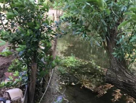 Muğla Ortaca Okçularda Eşyasız Kiralık 2+1 Bahçeli Köy Evi