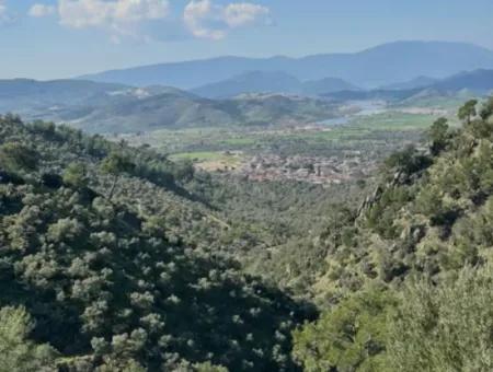 Muğla Milas Da 5 800 M2 Tek Tapu Müstakil Parsel Arazi Satılık