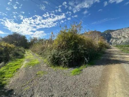 Ortaca Yeşilyurt Da 12 000 M2 Tarla Satılık