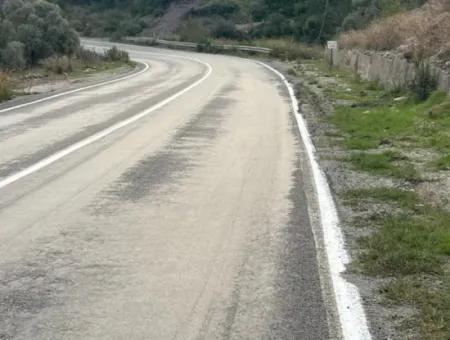 Muğla  Milas Çakıralan  Da 1.025 M2  Nitelik Zeytinlik Olan Arazi Satılık