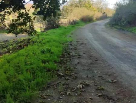 Muğla Ula Karabörtlende Kelepir 6 000 M2 Arazi Satılık