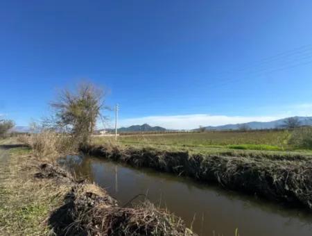 Dalyana Yakın Konumda, Köyceğiz Gölüne Yakın Satılık Tarla