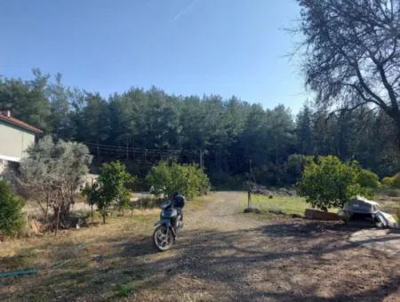 Muğla, Köyceğiz, Kavakarası 1500 M2 Arazide 2+1, 3 Adet Bagımsız Kelepir Köy Evi Satılık