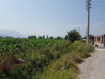 Muğla Ortaca Okçularda Satılık Yatırıma Uygun 3000 M2 Arsa